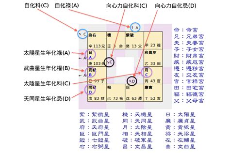 紫微大運怎麼看|紫微大運怎麼看？命盤大運解析完整教學！ 